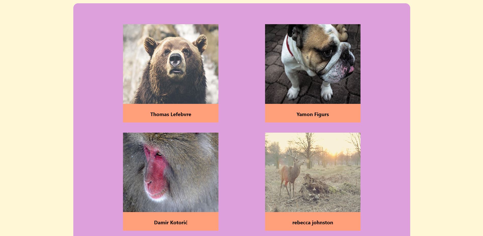 Preview still image of a photo gallery, containing placeholder images of animals.